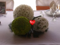 /album/eventos2/a1150353-573671446019747-1293661478-n-jpg1/