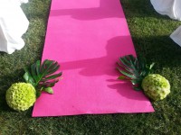 /album/eventos2/image-51-jpg/